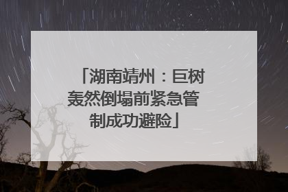 湖南靖州：巨树轰然倒塌前紧急管制成功避险