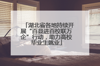 湖北省各地持续开展“百县进百校联万企”行动，助力高校毕业生就业