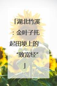 湖北竹溪：金叶子托起田埂上的“致富经”