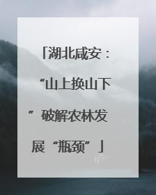 湖北咸安：“山上换山下”破解农林发展“瓶颈”