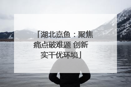 湖北嘉鱼：聚焦痛点破难题 创新实干优环境