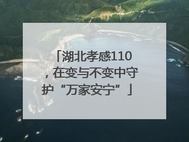 湖北孝感110，在变与不变中守护“万家安宁”