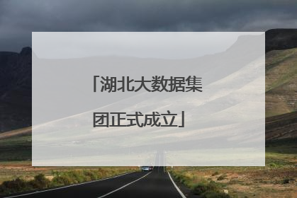 湖北大数据集团正式成立
