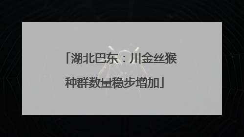 湖北巴东：川金丝猴种群数量稳步增加