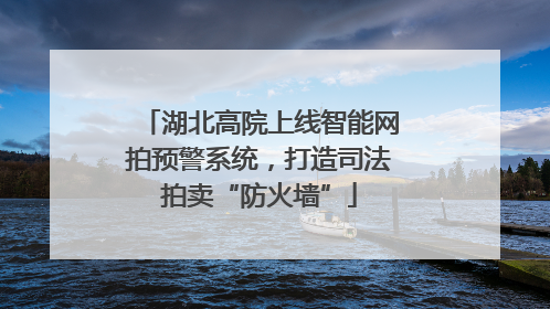 湖北高院上线智能网拍预警系统，打造司法拍卖“防火墙”