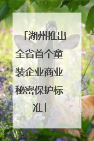 湖州推出全省首个童装企业商业秘密保护标准