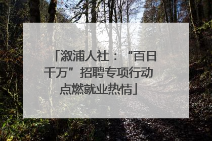 溆浦人社：“百日千万”招聘专项行动点燃就业热情