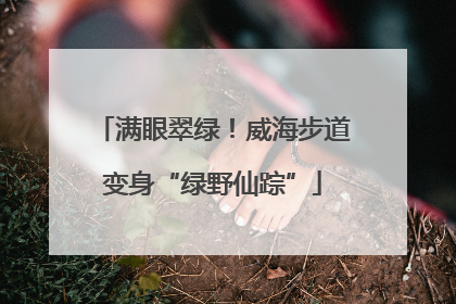满眼翠绿！威海步道变身“绿野仙踪”