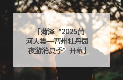菏泽“2025黄河大集—曹州牡丹园夜游消夏季”开幕