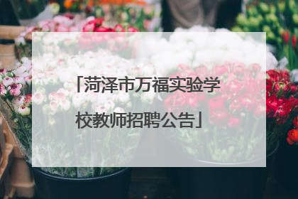 菏泽市万福实验学校教师招聘公告