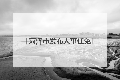 菏泽市发布人事任免