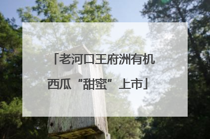 老河口王府洲有机西瓜“甜蜜”上市