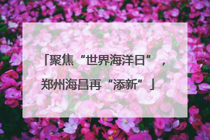 聚焦“世界海洋日”，郑州海昌再“添新”