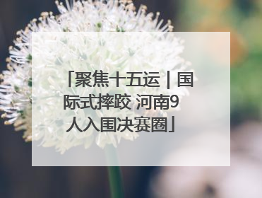 聚焦十五运｜国际式摔跤 河南9人入围决赛圈