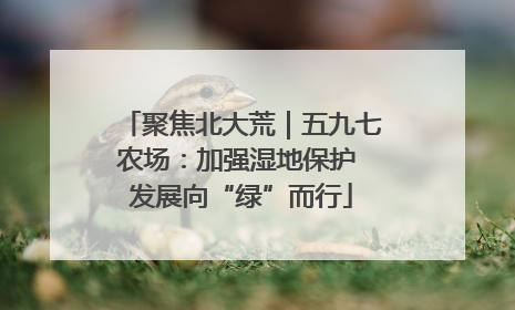 聚焦北大荒｜五九七农场：加强湿地保护 发展向“绿”而行