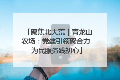 聚焦北大荒｜青龙山农场：党建引领聚合力 为民服务践初心