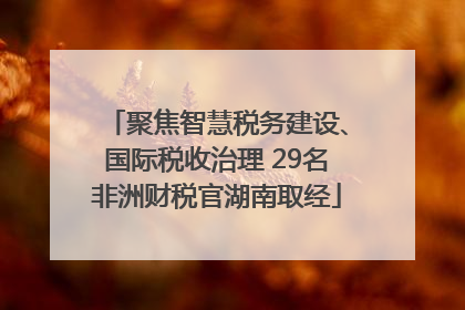 聚焦智慧税务建设、国际税收治理 29名非洲财税官湖南取经