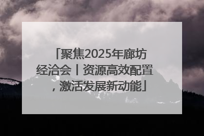聚焦2025年廊坊经洽会丨资源高效配置，激活发展新动能