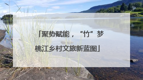聚势赋能，“竹”梦桃江乡村文旅新蓝图