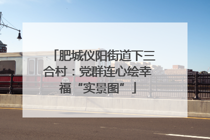 肥城仪阳街道下三合村：党群连心绘幸福“实景图”