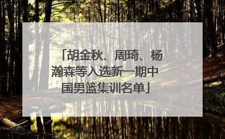 胡金秋、周琦、杨瀚森等入选新一期中国男篮集训名单