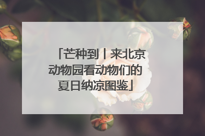芒种到丨来北京动物园看动物们的夏日纳凉图鉴