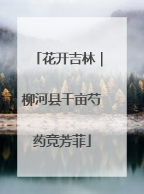 花开吉林｜柳河县千亩芍药竞芳菲
