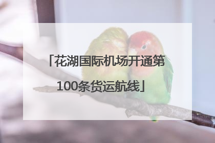 花湖国际机场开通第100条货运航线