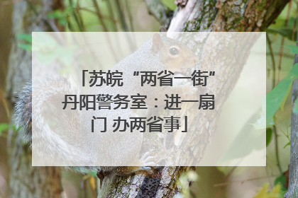 苏皖“两省一街”丹阳警务室：进一扇门 办两省事