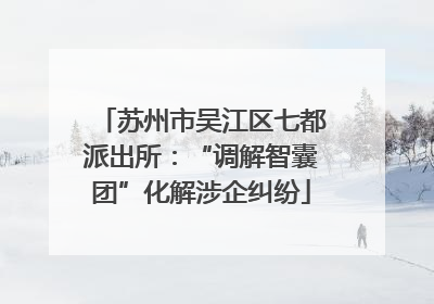 苏州市吴江区七都派出所：“调解智囊团”化解涉企纠纷