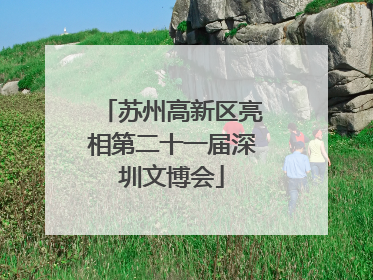 苏州高新区亮相第二十一届深圳文博会