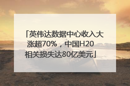 英伟达数据中心收入大涨超70%，中国H20相关损失达80亿美元