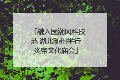 融入国潮风科技范 湖北随州举行炎帝文化庙会