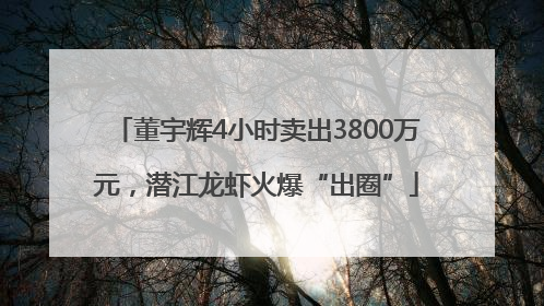 董宇辉4小时卖出3800万元，潜江龙虾火爆“出圈”
