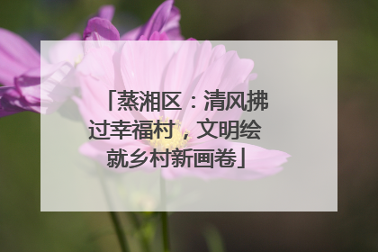蒸湘区：清风拂过幸福村，文明绘就乡村新画卷