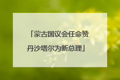 蒙古国议会任命赞丹沙塔尔为新总理