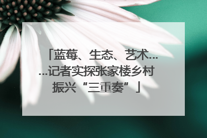 蓝莓、生态、艺术……记者实探张家楼乡村振兴“三重奏”