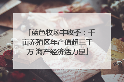 蓝色牧场丰收季：千亩养殖区年产值超三千万 海产经济活力足