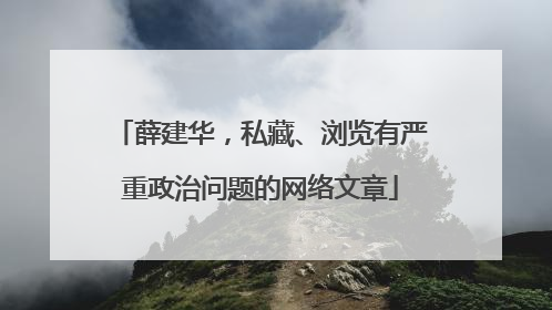 薛建华，私藏、浏览有严重政治问题的网络文章