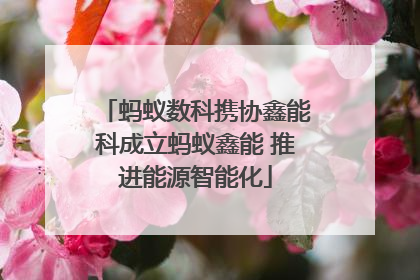 蚂蚁数科携协鑫能科成立蚂蚁鑫能 推进能源智能化