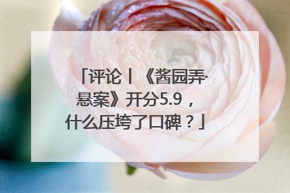 评论丨《酱园弄·悬案》开分5.9，什么压垮了口碑？