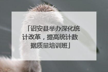 诏安县举办深化统计改革，提高统计数据质量培训班