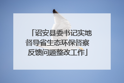诏安县委书记实地督导省生态环保督察反馈问题整改工作