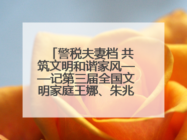警税夫妻档 共筑文明和谐家风——记第三届全国文明家庭王娜、朱兆鹏家庭