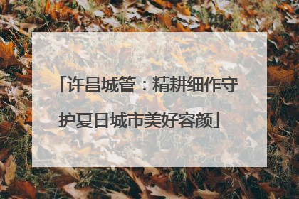 许昌城管：精耕细作守护夏日城市美好容颜