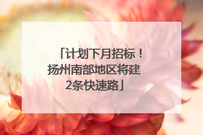 计划下月招标！扬州南部地区将建2条快速路