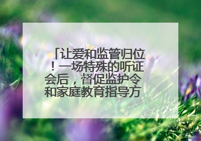 让爱和监管归位！一场特殊的听证会后，督促监护令和家庭教育指导方案同时送达