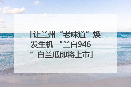 让兰州“老味道”焕发生机 “兰白946”白兰瓜即将上市