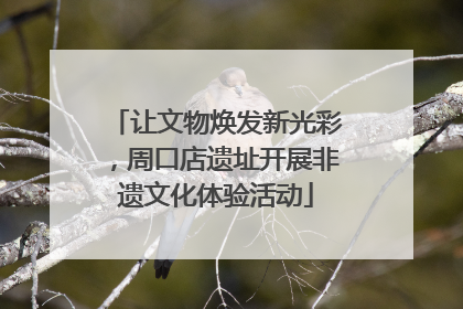 让文物焕发新光彩，周口店遗址开展非遗文化体验活动