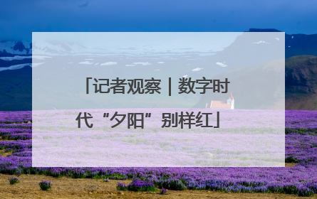 记者观察｜数字时代“夕阳”别样红